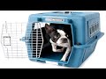 best plastic dog kennel petmate vari dog crate review