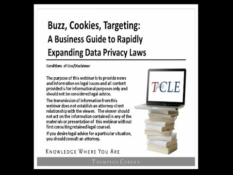 Buzz, Cookies, Targeting: A Business Guide to the Rapidly Evolving Data Protection Laws