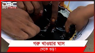 এবার ঘাসের গুড়! | DBC News Special