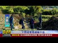 寒流發威 太平山再降白雪民眾超驚喜