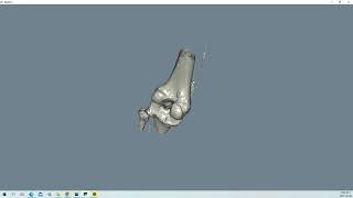 VTK Example - ReadSLC - python