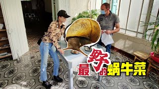 蜗牛从出生到上餐桌经历了什么?深入法国蜗牛庄园看蜗牛养殖，吃最经典蜗牛菜 | 法国农场 | 蜗牛养殖 |蜗牛烹饪|escargot du chateau | french cuisine snails