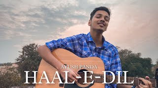 Haal-E-Dil - Murder 2 | Cover by Ayush Panda