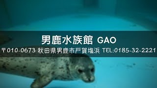 秋田男鹿半島 男鹿水族館 GAO 日本海西側絕景