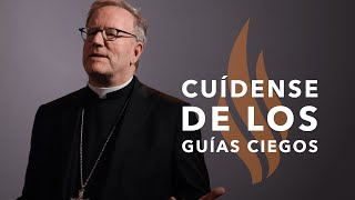 Cuídense de los Guías Ciegos - Sermón del Domingo del obispo Robert Barron