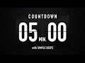 5 Minute Countdown Timer 🕙 Flip Clock with Simple Beeps 🔊🖤
