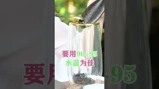 碧螺春应该怎么泡？wechat: zcj049#茶知识#茶 #召唤茶友喜欢喝茶犯人关注我#喝茶找我