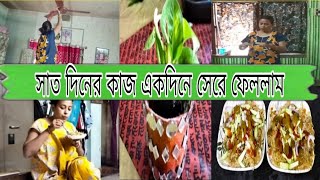 সাতদিনের কাজ একদিনে করলাম। ফেলে দেওয়া জিনিস দিয়ে বানালাম প্লান্টার।Santar Rimli Vlogs।