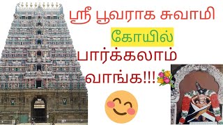 vlog / Temple /ஶ்ரீ பூவராக சுவாமி