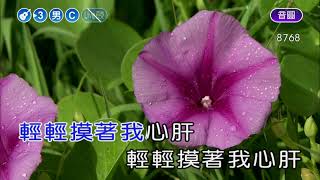 疼你若生命~蔡小虎~男C調~伴奏~導唱3顆丙