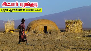 அஃபார் பழங்குடி பற்றிய ஆச்சரியமான உண்மைகள் | AFAR TRIBES