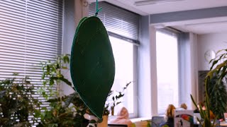 Hang je telefoon eens in de boom tegen de studiestress