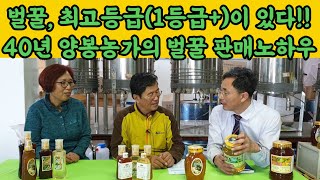 [아산벌꿀 양봉 3-3] 40년 양봉농장마케팅, 최고등급벌꿀이 되려면? 25가지 시험검사서, 필리핀에 양봉기술전수, 벌꿀판매노하우, 좋은꿀 등급기준은? 신뢰를 파는 벌꿀?