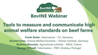 BovINE Webinar - Tools to measure and communicate high animal welfare standards on beef farms