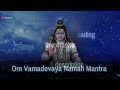 powerful shiva mantra for success and prosperity om vaamadevaaya namah shiva mantra