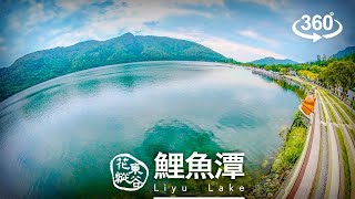 花蓮鯉魚潭 360度環景影片 | Hualien Liyu Lake Live