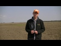 pioneer® growingpoint® agronomy planting considerations