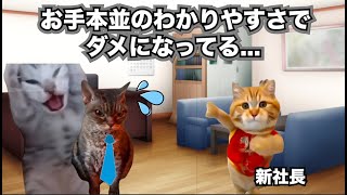 【お家騒動】世代交代に失敗した会社の末路②#地方銀行#猫ミーム