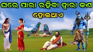 ଭଗବାନ ଶିବ କହିଛନ୍ତି ଘରେ ପାରା ରହିବା ଦ୍ଵାରା କଣ ହୋଇଥାଏ | #shiv #mahadev