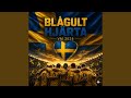 VM 2026 blågult hjärta