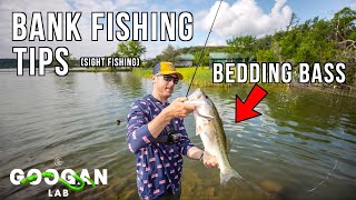 HOW TO SIGHT And CATCH FISH FROM The BANK! ( BEDDING BASS BASICS )