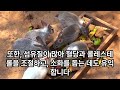 전 세계에서 가장 몸에 좋은 10가지 암 치매 예방 면역력 강화 고혈압 당뇨를 막는 방법 세계 최고의 음식 건강하게 먹는 방법 3가지 건강을 위한 음식