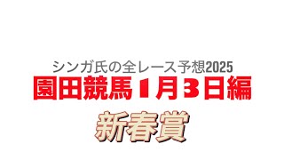 1月3日園田競馬【全レース予想】2025新春賞