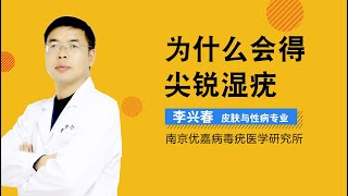 为什么会得尖锐湿疣