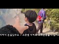 우리동네 나들이 인천부평숲 나비공원 incheon butterfly park