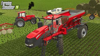 Can I Improve my Yield with THIS TRICK?! | Farming Simulator 25