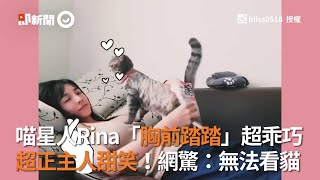 貓咪胸前踏踏超乖巧 正妹主人甜笑...網友：無法看貓｜寵物｜奴才｜訓練