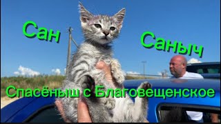 1272❤️Первая встреча Внучки с морем!!! Санитары моря… Не смогли пройти мимо!!! Спасибо, систер!!!