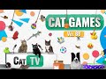 CAT Games | Ultimate Cat TV Compilation Vol 88 | 4 HOURS  🐝🐞🦋🦎🦜🐜🐭🧵