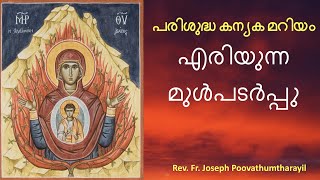 പരിശുദ്ധ കന്യക മറിയം - എരിയുന്ന മുൾപടർപ്പ് | Holy Virgin Mary | Fr. Joseph Poovathumtharayil