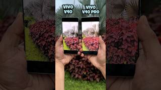 Vivo V40 vs Vivo V40 Pro Camera Test (Ultra Steady Mode) #vivo #shorts