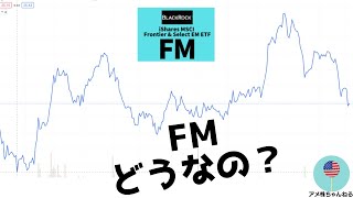 【新興国】フロンティアETF:FM　どうなの？