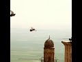 güzel memleketimiz mardin den bir video