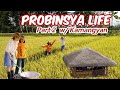 Probinsya Life PART 2 by Alex Gonzaga