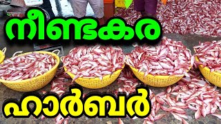 നീണ്ടകര മീൻ ഹാർബർ | നീണ്ടകര ഫിഷ് ഹാർബർ കൊല്ലം | Neendakara fish harbour  kollam | Neendakara