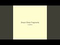 Dream Silver Fragments