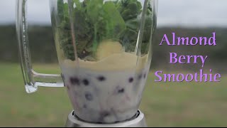 Almond Berry Smoothie | MicBergsma