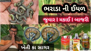 બાજરી l જુવાર l મકાઈ l માં ભરડો l કુપળા માં ઈયળ l  બેસ્ટ પરિણામ l ખેતી કા સાગર l  હિતેશ પટેલીયા l