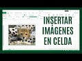 ¿Cómo insertar una imagen dentro de una celda de Excel?