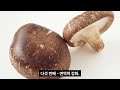 몸에 좋은 제철 음식 3월 표고버섯 놀라운 효능 9가지