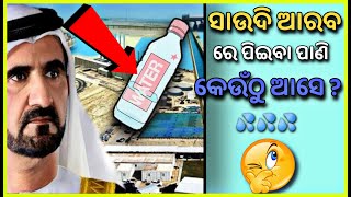 ସାଉଦି ଆରବ କୁ ପିଇବା ପାଣି କେଉଁଠୁ ଆସେ | Odia Facts | Facts in Odia | #odiashorts #odifacts #odia