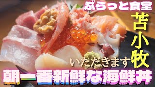 新鮮でうまい！苫小牧ぷらっと食堂で朝一番海鮮丼を食べた！