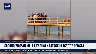 i24 PKG - EGYPT SHARK ATTACKS - 3 JULY 2022