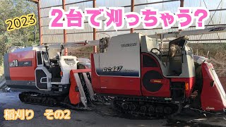 【稲刈り2023】クボタコンバインとヤンマーコンバインの2台刈り