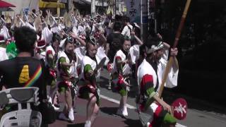 華純連の流し☆妙法寺夏のふれあい祭り2016