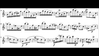 Carl Philipp Emanuel Bach (1714-1788): Sonata for Solo Flute in A Minor (H. 562): I. Poco Adagio